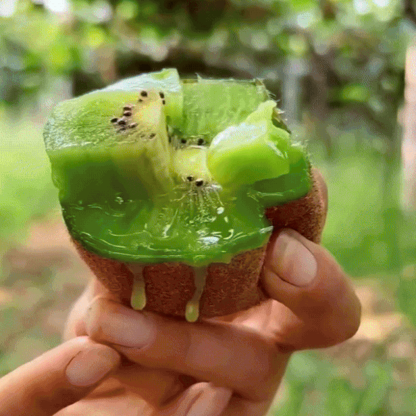Seminte de KIWI Românesc