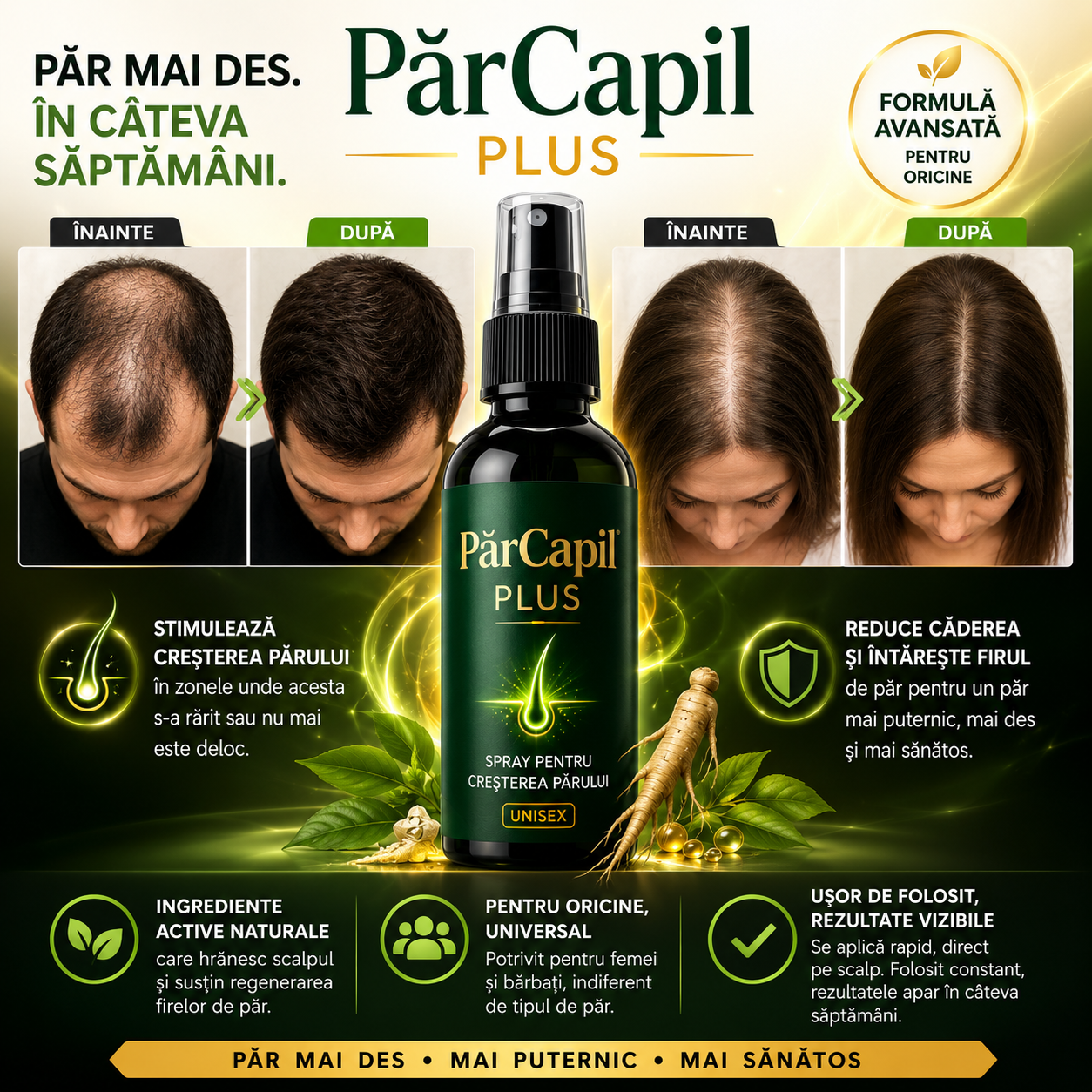 PărCapil Plus