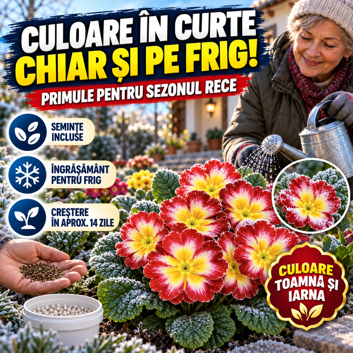 Semințe Primulă de Iarnă PrimaFrost™