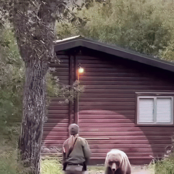 Spray-ul Anti-Animale Sălbatice- BearStop